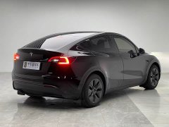 Tesla Model Y Rear-Wheel Drive - ფოტო 6