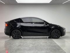 Tesla Model Y Rear-Wheel Drive - ფოტო 8