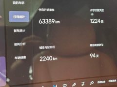 Li Auto L9 Max - ფოტო 17