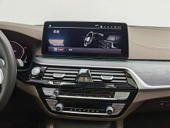 BMW 5 Series 530Li Premier M Sport Package - ფოტო 12