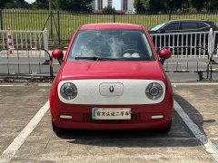 Ora Black Cat 301km Version - ფოტო 2