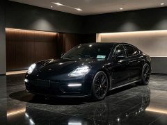 Porsche Panamera 2.9T - ფოტო 1