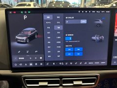 Li Auto L7 Pro - ფოტო 17