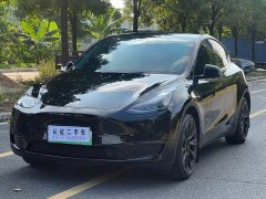 Tesla Model Y Rear-Wheel Drive - ფოტო 1