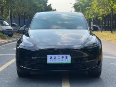 Tesla Model Y Rear-Wheel Drive - ფოტო 2