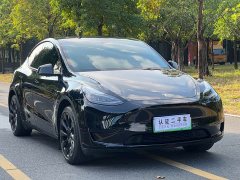 Tesla Model Y Rear-Wheel Drive - ფოტო 3