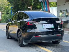 Tesla Model Y Rear-Wheel Drive - ფოტო 7