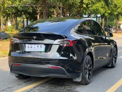 Tesla Model Y Rear-Wheel Drive - ფოტო 9