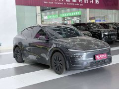 Tesla Model Y Rear-Wheel Drive - ფოტო 4