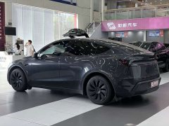 Tesla Model Y Rear-Wheel Drive - ფოტო 7