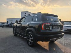 Great Wall Dachshund 1.5T DCT Two-Wheel Drive Malinois Edition - ფოტო 16