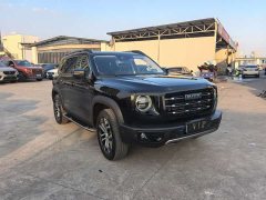 Great Wall Dachshund 1.5T DCT Two-Wheel Drive Malinois Edition - ფოტო 2