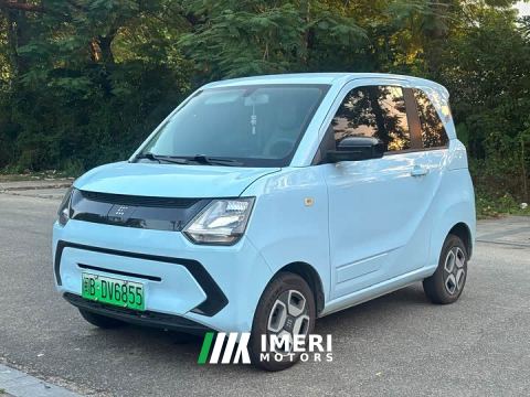 2022 Fengon MINIEV Stylish Luxury Edition