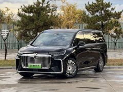 Voyah Lantu Dreamchaser PHEV AWD Luxury Kunpeng Edition - ფოტო 1