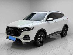Haval H6 National Trend Edition 1.5T Automatic Urban Version - ფოტო 1