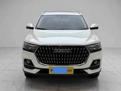 Haval H6 National Trend Edition 1.5T Automatic Urban Version - ფოტო 2