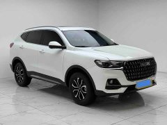 Haval H6 National Trend Edition 1.5T Automatic Urban Version - ფოტო 3