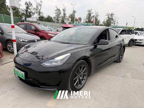 2022 Tesla Model 3 Rear-Wheel Drive - ავტომობილი ჩინეთიდან