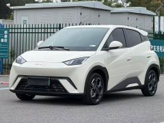 BYD Seagull Glory Edition 305km Freedom Version - ფოტო 1
