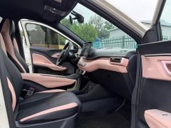 BYD Seagull Glory Edition 305km Freedom Version - ფოტო 11