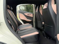 BYD Seagull Glory Edition 305km Freedom Version - ფოტო 12