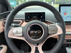 BYD Seagull Glory Edition 305km Freedom Version - ფოტო 13
