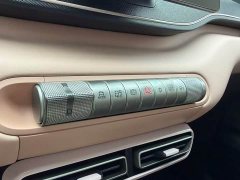 BYD Seagull Glory Edition 305km Freedom Version - ფოტო 16