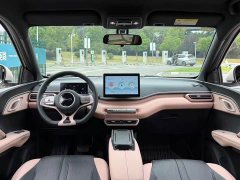 BYD Seagull Glory Edition 305km Freedom Version - ფოტო 17