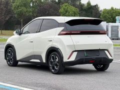 BYD Seagull Glory Edition 305km Freedom Version - ფოტო 3