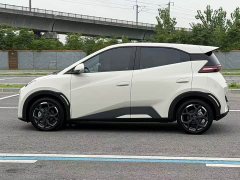 BYD Seagull Glory Edition 305km Freedom Version - ფოტო 4