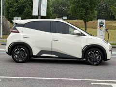 BYD Seagull Glory Edition 305km Freedom Version - ფოტო 5