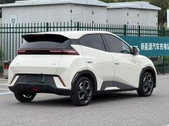 BYD Seagull Glory Edition 305km Freedom Version - ფოტო 6