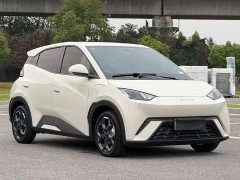 BYD Seagull Glory Edition 305km Freedom Version - ფოტო 7