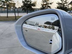 Buick GL8 Luzun Respect Edition - ფოტო 8