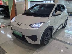 BYD Seagull 405km Carefree Edition - ფოტო 1