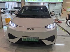 BYD Seagull 405km Carefree Edition - ფოტო 2