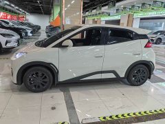 BYD Seagull 405km Carefree Edition - ფოტო 5