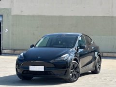 Tesla Model Y Rear-Wheel Drive - ფოტო 1