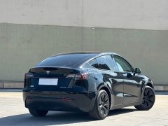 Tesla Model Y Rear-Wheel Drive - ფოტო 10