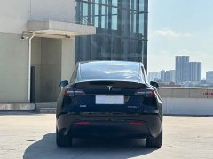Tesla Model Y Rear-Wheel Drive - ფოტო 11