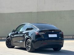 Tesla Model Y Rear-Wheel Drive - ფოტო 12