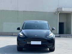 Tesla Model Y Rear-Wheel Drive - ფოტო 2