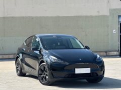 Tesla Model Y Rear-Wheel Drive - ფოტო 3