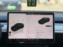Tesla Model Y Rear-Wheel Drive - ფოტო 7