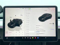 Tesla Model Y Rear-Wheel Drive - ფოტო 14
