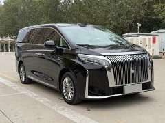 Great Wall WEY Shanshan New Energy Four-Wheel Drive Shanshan 8 - ფოტო 3