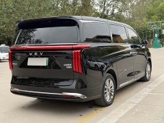 Great Wall WEY Shanshan New Energy Four-Wheel Drive Shanshan 8 - ფოტო 7