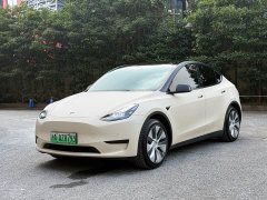 Tesla Model Y Rear-Wheel Drive - ფოტო 1