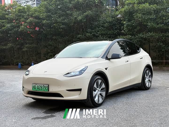 Tesla Model Y Rear-Wheel Drive