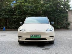 Tesla Model Y Rear-Wheel Drive - ფოტო 2